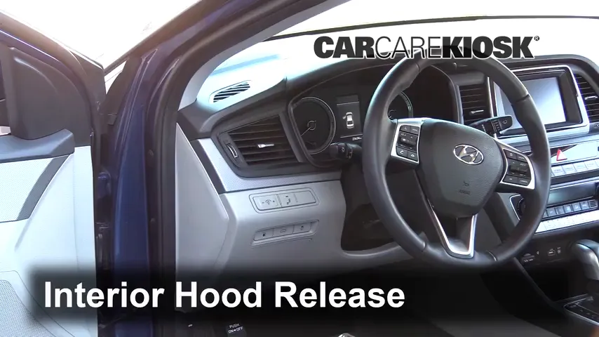 2019 Hyundai Sonata Sport 2.4L 4 Cyl. Hood
